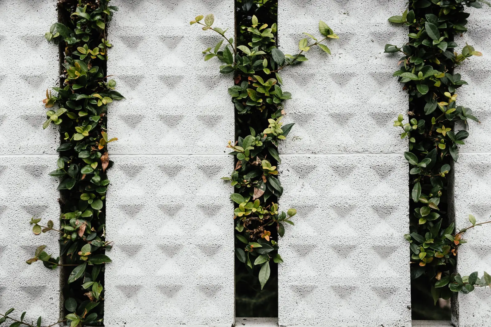 Gard decorativ din beton